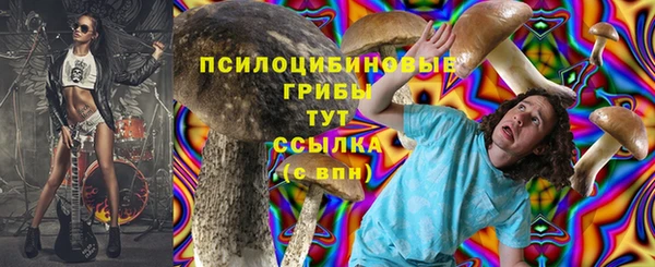 2c-b Володарск