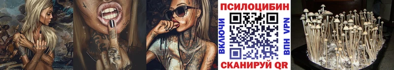 Галлюциногенные грибы прущие грибы  Дно 
